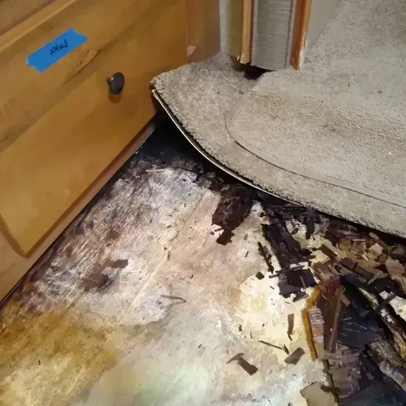 Wood Floor Water Damage in South Palm Beach, FL